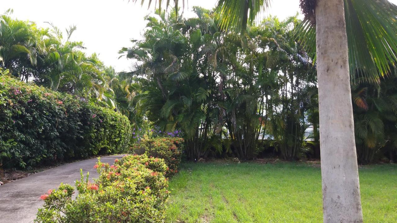Villa Tocade 圣弗朗索瓦 外观 照片